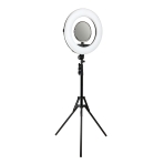 Купить Лампа Fill Light FD-480II