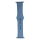 Купити Ремінець для Apple Watch Band Silicone One-Piece Size-S 42/44/45/49 mm 24.Azure