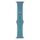 Купити Ремінець для Apple Watch Band Silicone One-Piece Size-S 42/44/45/49 mm 65.Cactus Color