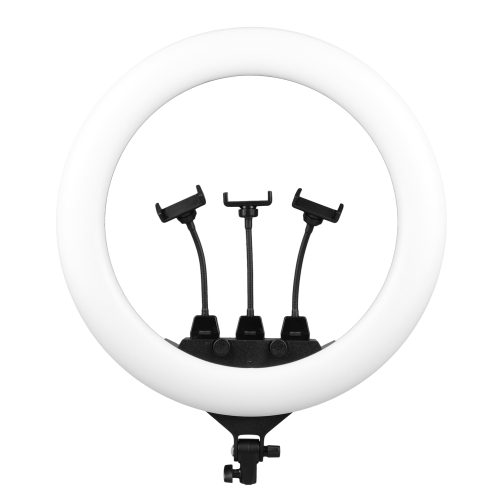 Купить Лампа Ring Light 56cm Remote Bag ZB-F488 Original