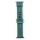 Купити Ремінець для Apple Watch Band Silicone Shine 38/40/41 mm Millitary Green