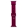 Купити Ремінець для Apple Watch Band Silicone Shine 38/40/41 mm Purple Red