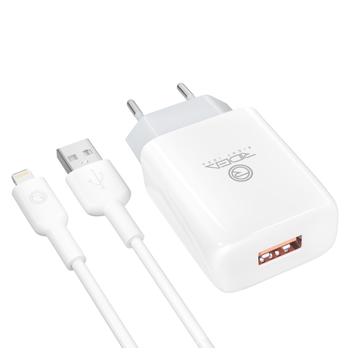 Купить Сетевое Зарядное Устройство Ridea RW-11311 Element Lightning 2.1 A, 4