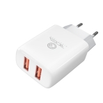 Купить Сетевое Зарядное Устройство Ridea RW-21011 Element Duo 2USB 2.1 A, 6
