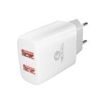 Купить Сетевое Зарядное Устройство Ridea RW-21011 Element Duo 2USB 2.1 A, 9