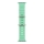 Купить Ремешок Ocean Band для Apple Watch 38/40/41mm Pistachio