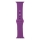 Купить Ремешок для Apple Watch Band Silicone One-Piece Size-S 38/40/41 mm 43.Grape