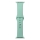 Купить Ремешок для Apple Watch Band Silicone One-Piece Size-S 38/40/41 mm 59.Marine Green
