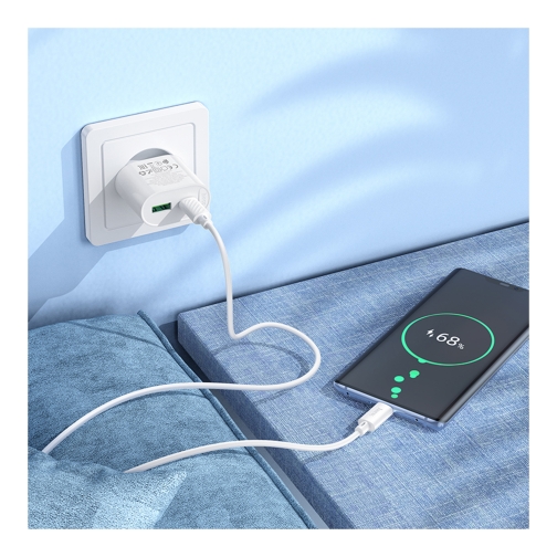 Купити Мережевий Зарядний Пристрій Hoco C109A 1USB-C/1USB PD/QC 20W, 8