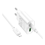 Купить Сетевое Зарядное Устройство Hoco C109A 1USB-C/1USB PD/QC 20W+Type-C to Lightning, 4