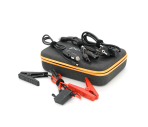 Купить Power Station Pecron E2400LFP,2400W,2048Wh,2хAC220,4ХUSB-A,2ХUSB-C,XT60,DC5525,Fast charge,LiFePO4, 4