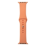 Купити Ремінець для Apple Watch Band Silicone One-Piece Size-S 42/44/45/49 mm М'ята упаковка, 4