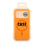 Купити Чохол Glow Silicone Case with Magsafe для iPhone 18 Pro, 11