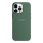 Купить Чехол Silicone Case with MagSafe для iPhone 13 Pro Eucaliptus