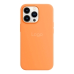 Купити Чохол Silicone Case with MagSafe для iPhone 13 Pro Max, 21