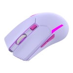 Купити Бездротова Миша Ігрова FANTECH WGC2 Venom II Vibe, 18