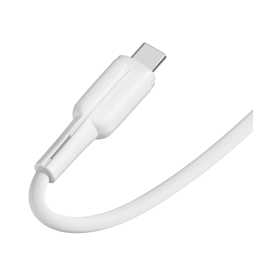 Купить USB Ridea RC-CO10 CommonPro Type-C 3A, 7