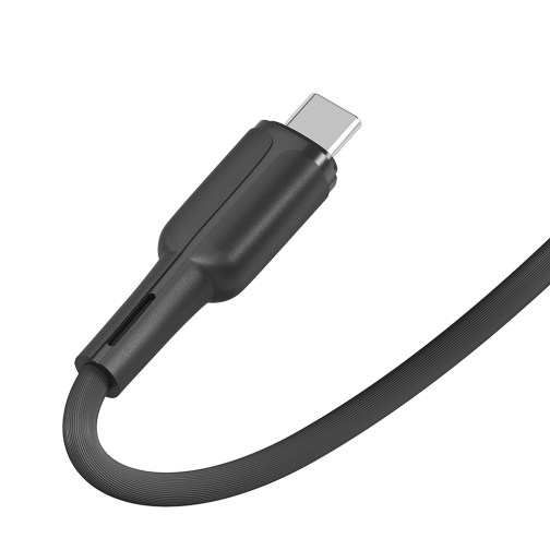 Купить USB Ridea RC-CO10 CommonPro Type-C 3A, 8