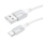 Купить USB Borofone BX101 Creator Type-C 3A Белый