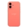 Купити Чохол Silicone Case Full Size with Frame для iPhone 16 30.Flamingo