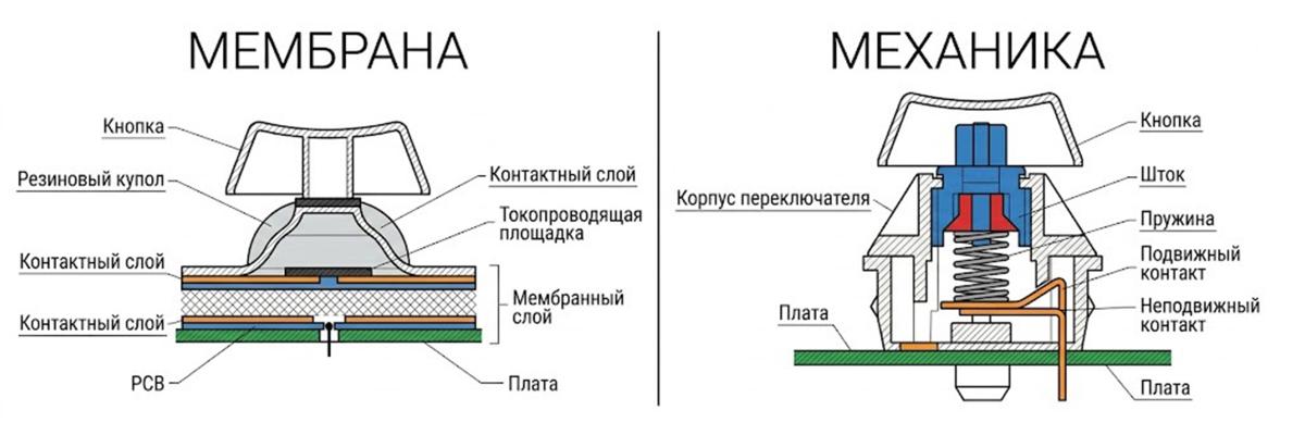 Схема мембранного и механического переключателя клавиатуры